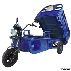 Грузовой электротрицикл Cargo Амулет 1500