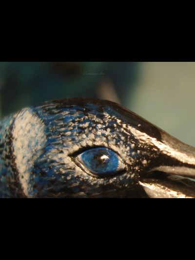 "Пингвин Мерилии", необычная брошь с натуральным морганитом