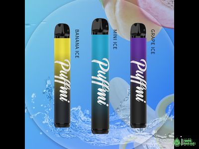 Одноразовая электронная сигарета PUFFMI TX2000, 2%, 5.5 мл, 850 мАч, 2000 затяжек