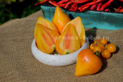 Томат Fred (Фред), 10 шт