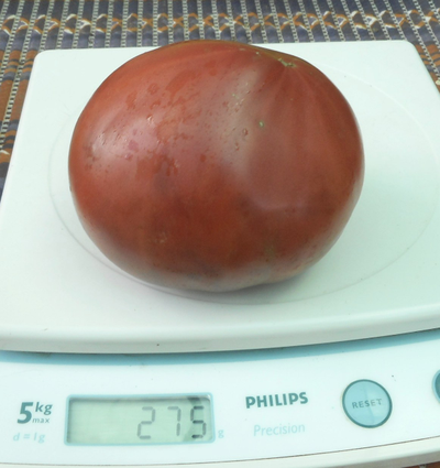 Томат Фиолетовая клубника, (Purple Strawberry) США