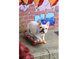Французский бульдог на скейте (белый) - Коллекционная фигурка 1/6 Skateboard French Bulldog (JXK243A) - JXK