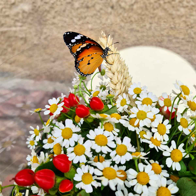 Ромашки с бабочками №92