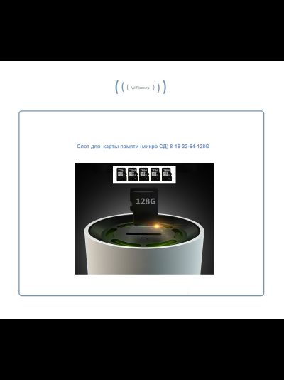 Видеоняня /WiFi IP видеокамера панорамная 180*110*  с DVR (fishG), HD