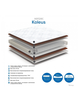Матрас Колеус