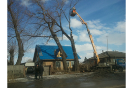 Расчистка участка, удаление пней, спиливание деревьев