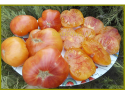 Томат Мятные (Peppermint) США