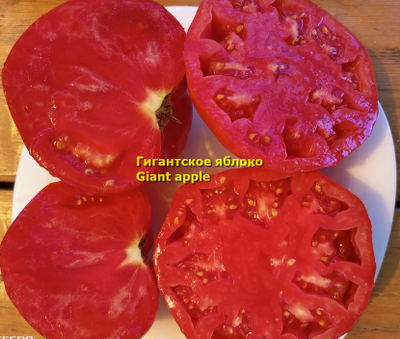 Томат Гигантское яблоко (Giant Apple, Сербия)