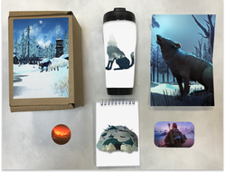 Бокс The Long Dark, Лонг Дарк №7