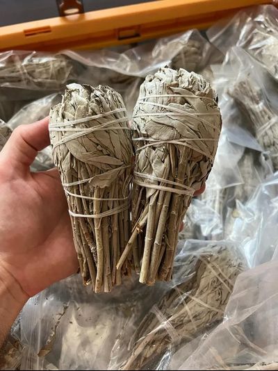 Белый шалфей - Факел 60-90 гр. (Большой)
