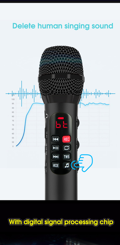 Профессиональный   караоке-микрофон      L-1038DSP  25w