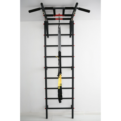 Шведская стенка Ferrum Force F1 купить в Воронеже