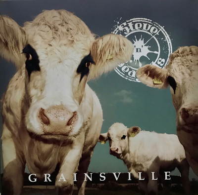 Steve'n'Seagulls - Grainsville CD