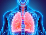 Курс пептидов для дыхательной системы