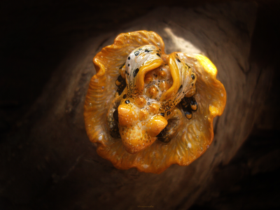 Брошь-лягушка "Крылатая Лучезарница", коллекционная миниатюра