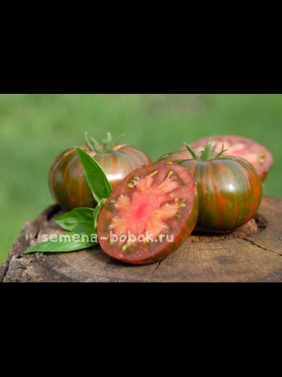 Томат Siegel's Dark Stripes (Темные Полосы Сигеля), 10 шт