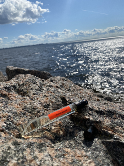 Духи АККОРД: ЧЁРНЫЕ КОШКИ 10 мл