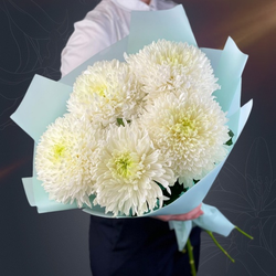 Классический букет из 5 белых хризантем Magnum White