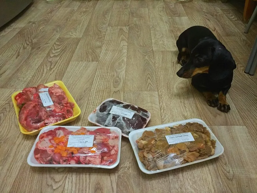 Хозяйка Светлана: "Большое спасибо за вкусный ужин!"