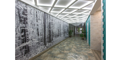 Санаторий Алтайский Замок