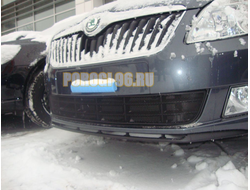Защита радиатора Skoda Fabia 2 рестайлинг 2011-/Skoda Roomster 2011-2015 black