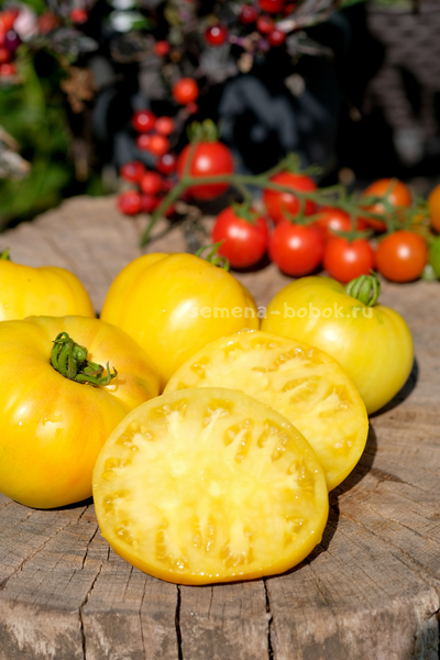 Томат Манго Минусинское, 10 шт