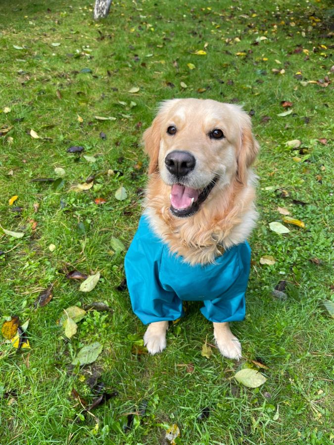 Веста (РЗ Палитра Весны)