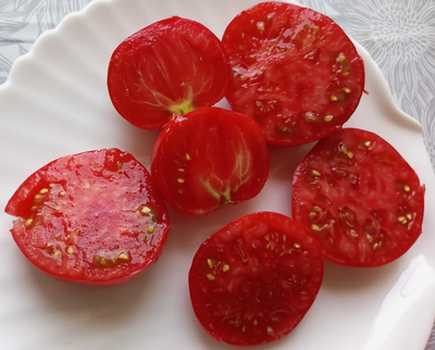 Томат София Бордо (Sofia Bordo)