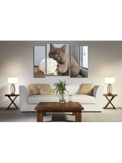 Модульная картина "Кот с розой"