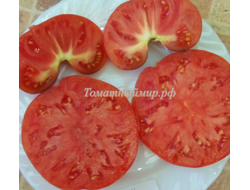Томат Сибирский тигр «Когти»  (Siberian Tiger «Claws»)