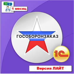 Поддержка: Консультации и сопровождение ЛАЙТ - 1 месяц