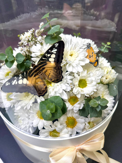 Белая хризантема №73