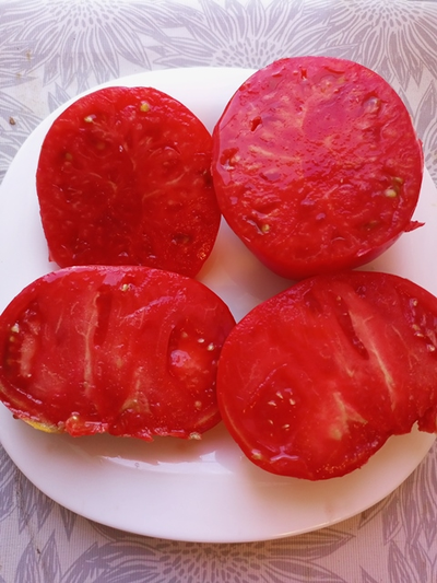 Томат Минусинец