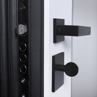 Стальная дверь   Макс 3D с зеркалом (умная дверная ручка). Заказная модель.