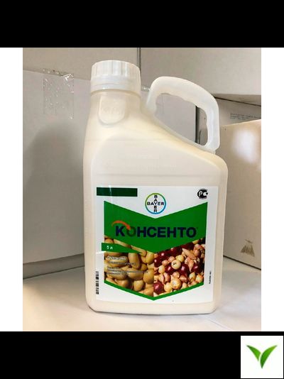 Консенто КС 5 л