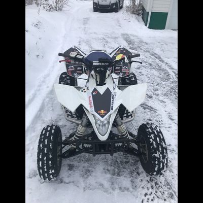 Наклейки на квадроцикл Suzuki LTR 450 ATV Quad RedBull #586RB