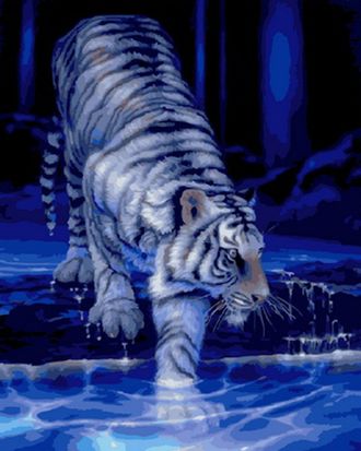 Картина по номерам 40х50 GX 22913 Белый тигр