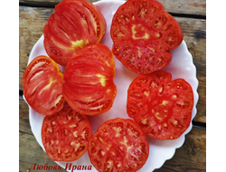 Томат Любовь Ирана