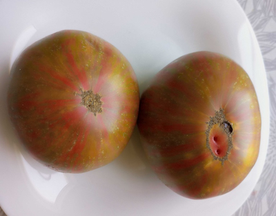 Томат Мятные полосы (Dwarf Peppermint Stripes)