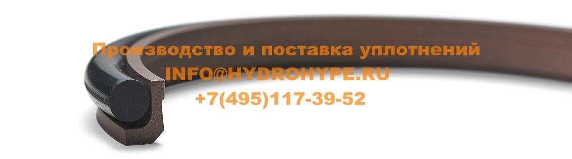 Скребок(dust seal) двустороннего действия с резиновым кольцом O-Ring WR13,WR13_E2, A-25F, A27-F, Tur