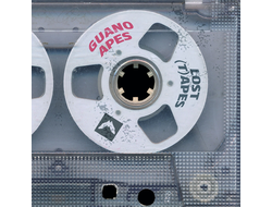 Guano Apes - Lost (T)Apes LP