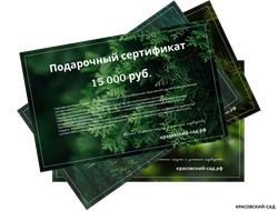 Подарочные сертификаты