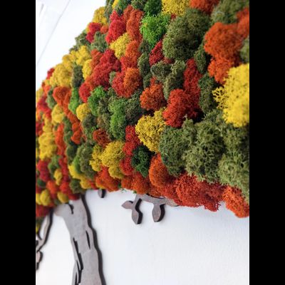 Живая эко-картина 1005 (100х75см)