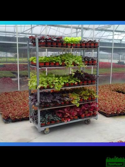 Евро тролль - тележка для цветов (НОВАЯ) в комплекте 3 полки- влагостойкая фанера 6мм.