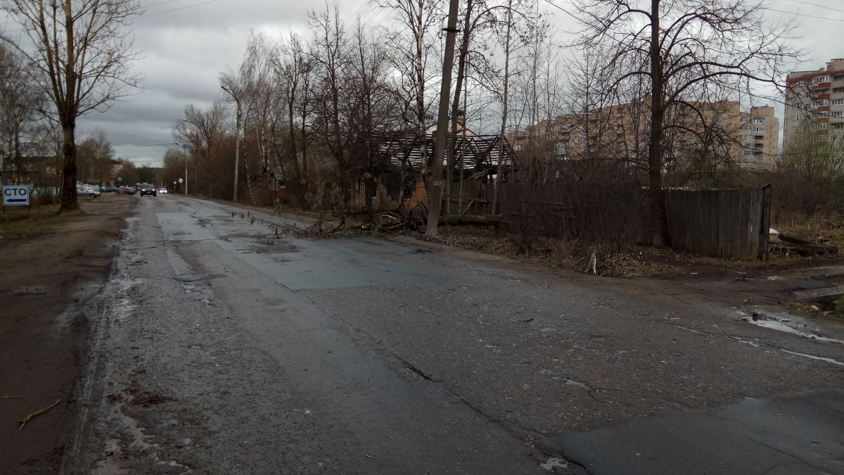 Шквалистый ветер и заваленные деревья в Великом Новгороде