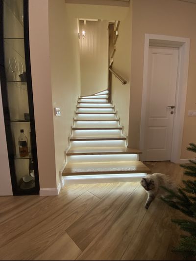 Лестница на металлическом каркасе - проект №213