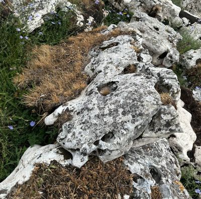 Известняк плоский степной, фракция 150-3000 мм