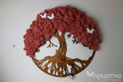 ЖИВАЯ ЭКО-КАРТИНА 1043