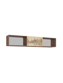 Навесная секция "Орион" Тэкс