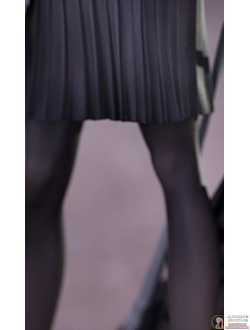 Фигурка 1/7 [S]